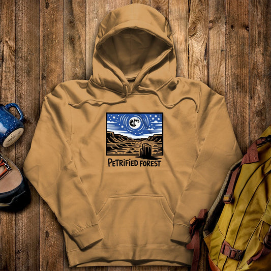 Petrified Forest National Park at Night Hoodie