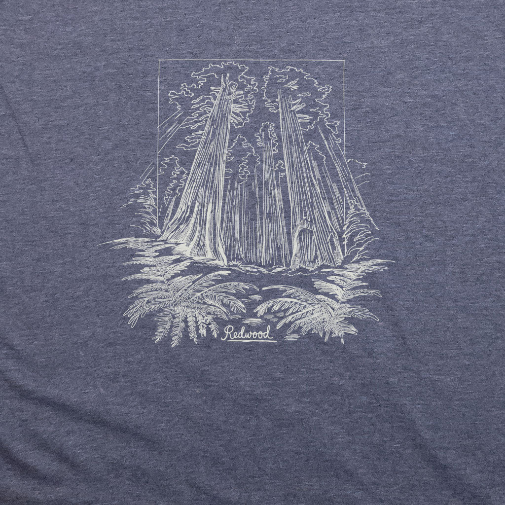 Redwood Line Drawing T-Shirt