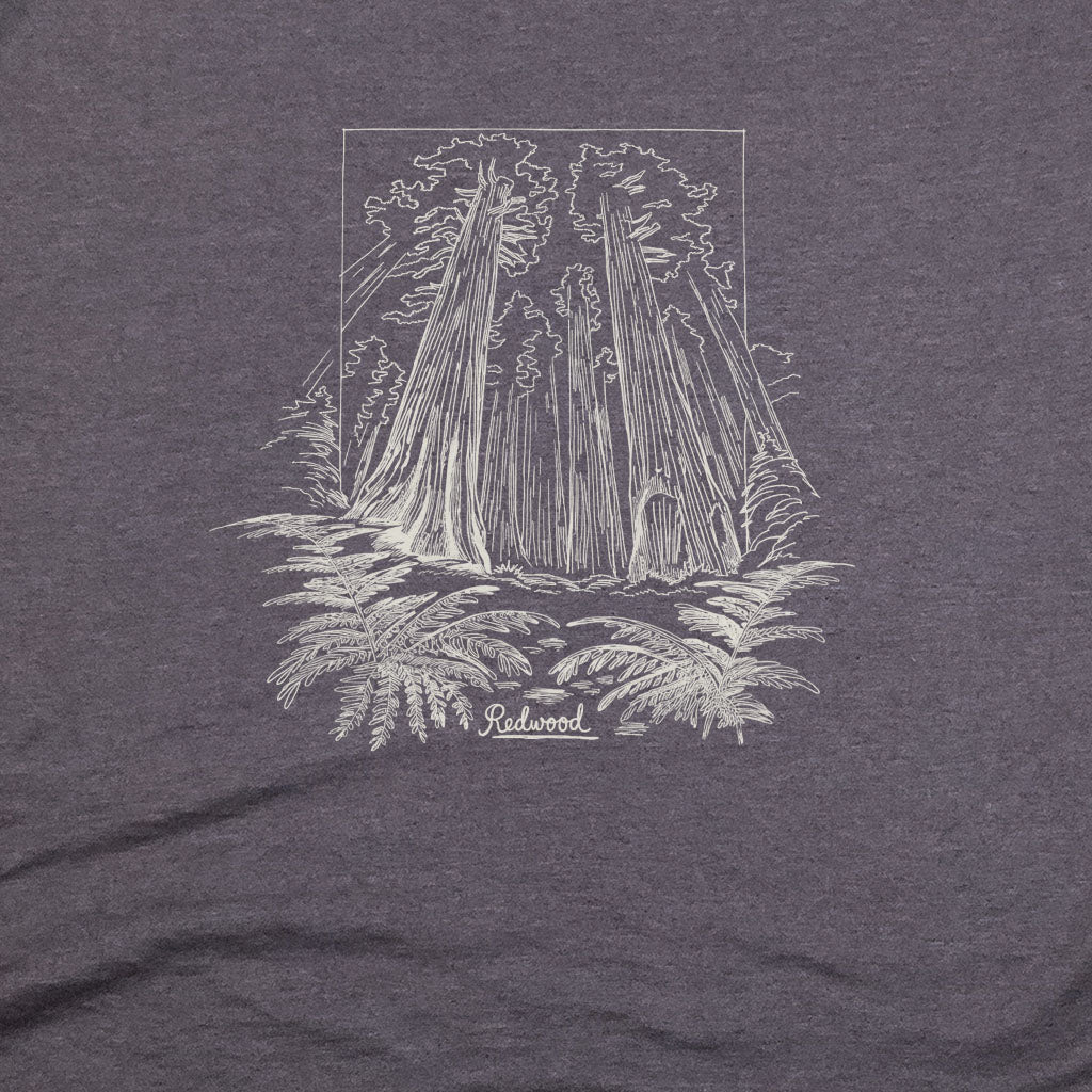 Redwood Line Drawing T-Shirt