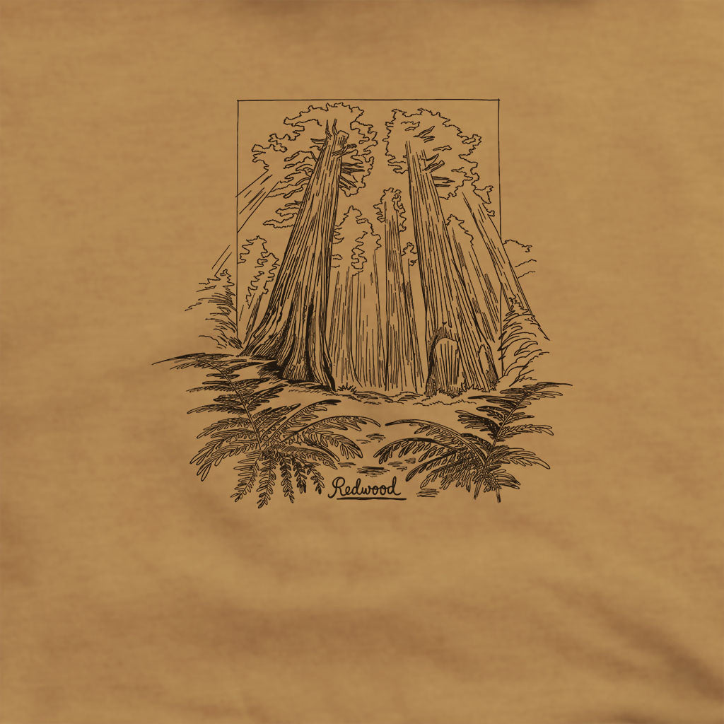 Redwood Line Drawing Hoodie