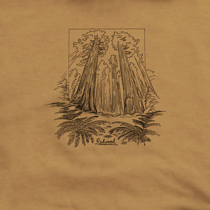Redwood Line Drawing Hoodie