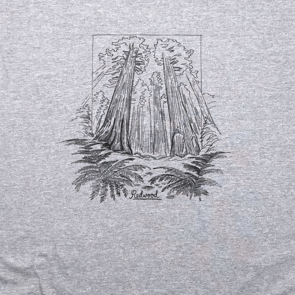 Redwood Line Drawing T-Shirt