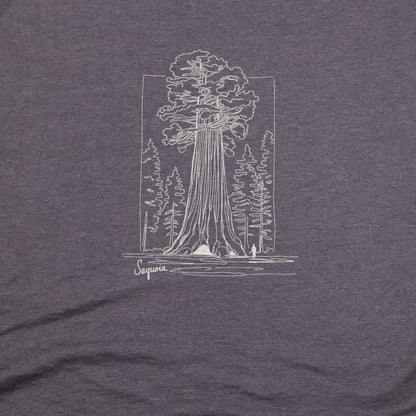Sequoia Line Drawing T-Shirt