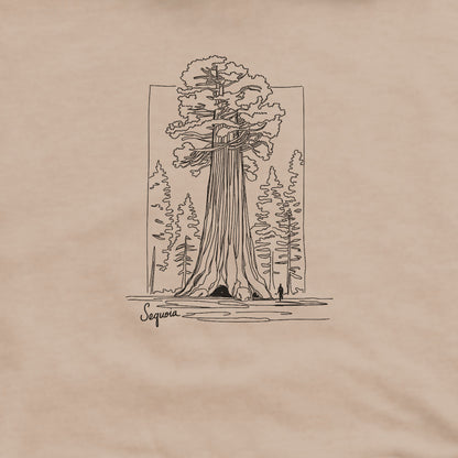 Sequoia Line Drawing Hoodie