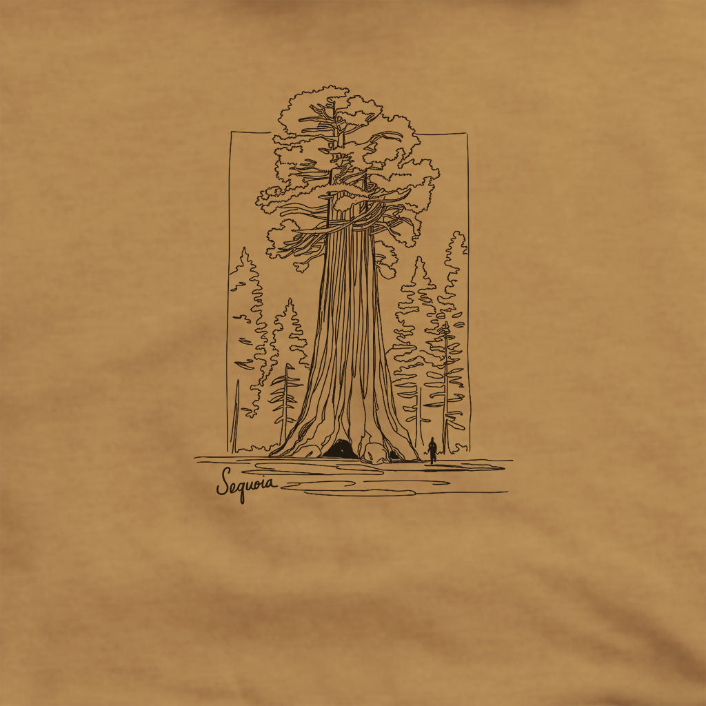 Sequoia Line Drawing Hoodie