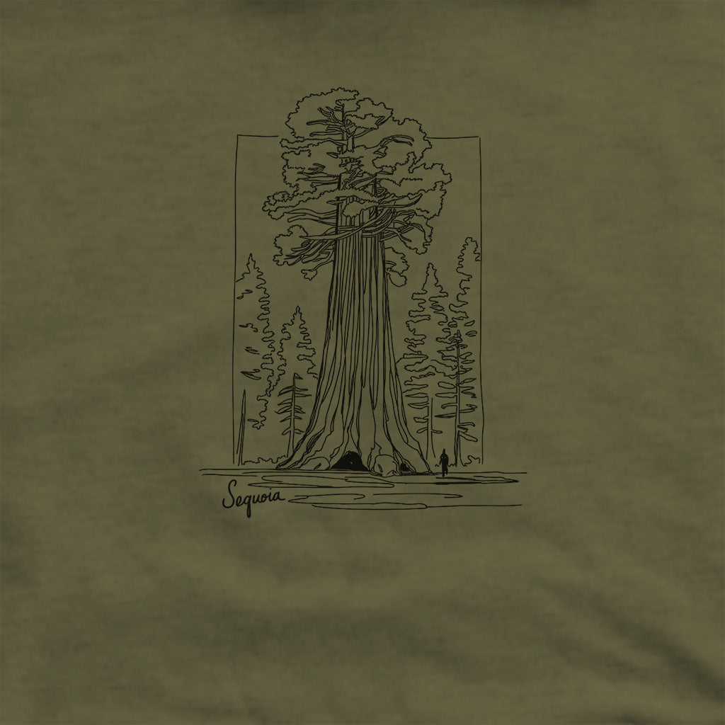 Sequoia Line Drawing Hoodie