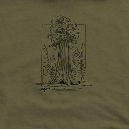 Sequoia Line Drawing Hoodie