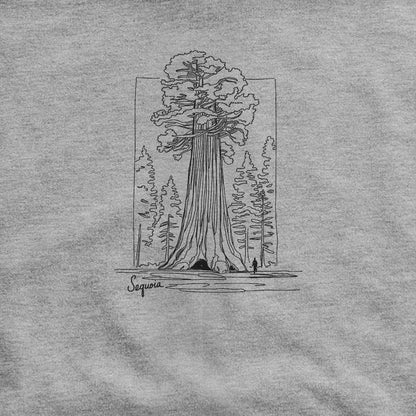 Sequoia Line Drawing Hoodie