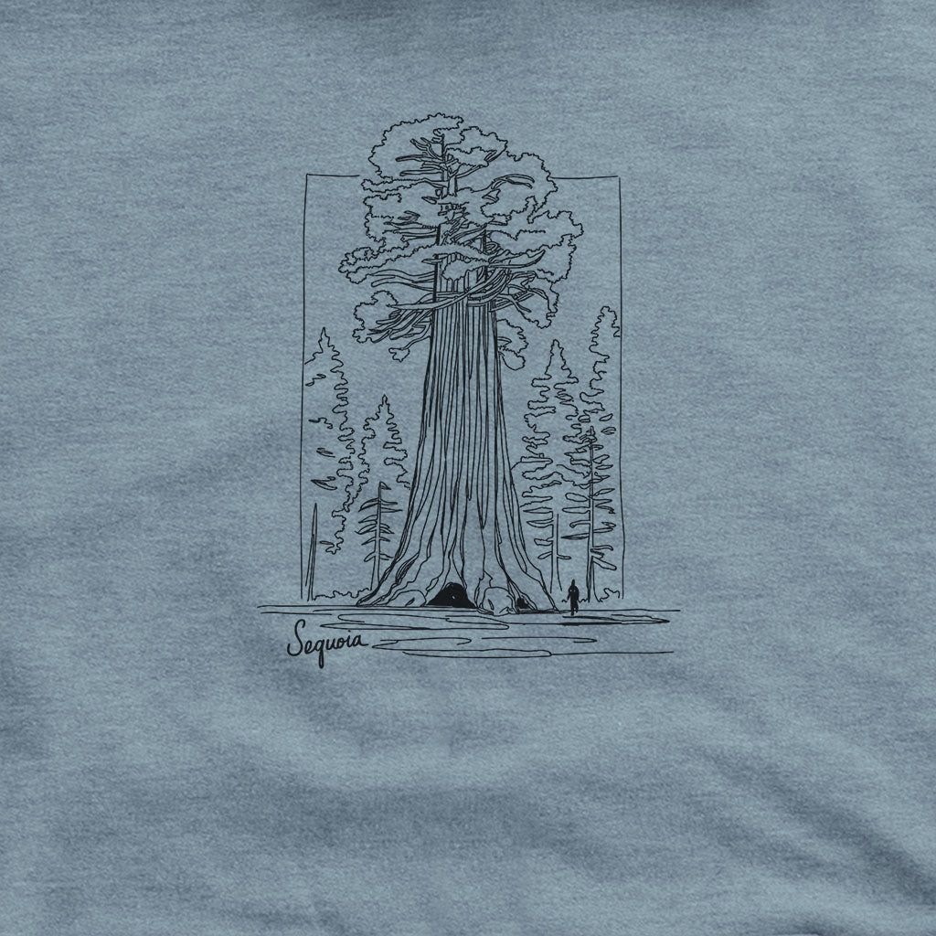 Sequoia Line Drawing Hoodie