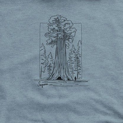 Sequoia Line Drawing Hoodie