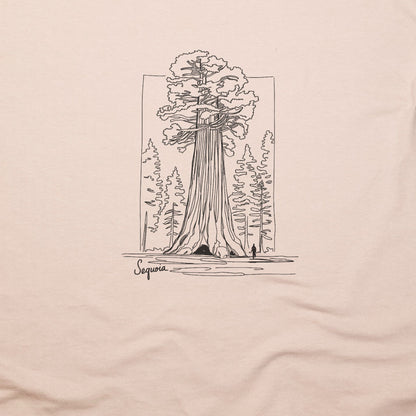 Sequoia Line Drawing T-Shirt