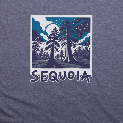 Sequoia at Night T-Shirt