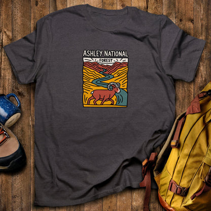 Ashley National Forest T-Shirt Dark Heather Adventure and Outdoors Themed T-Shirt