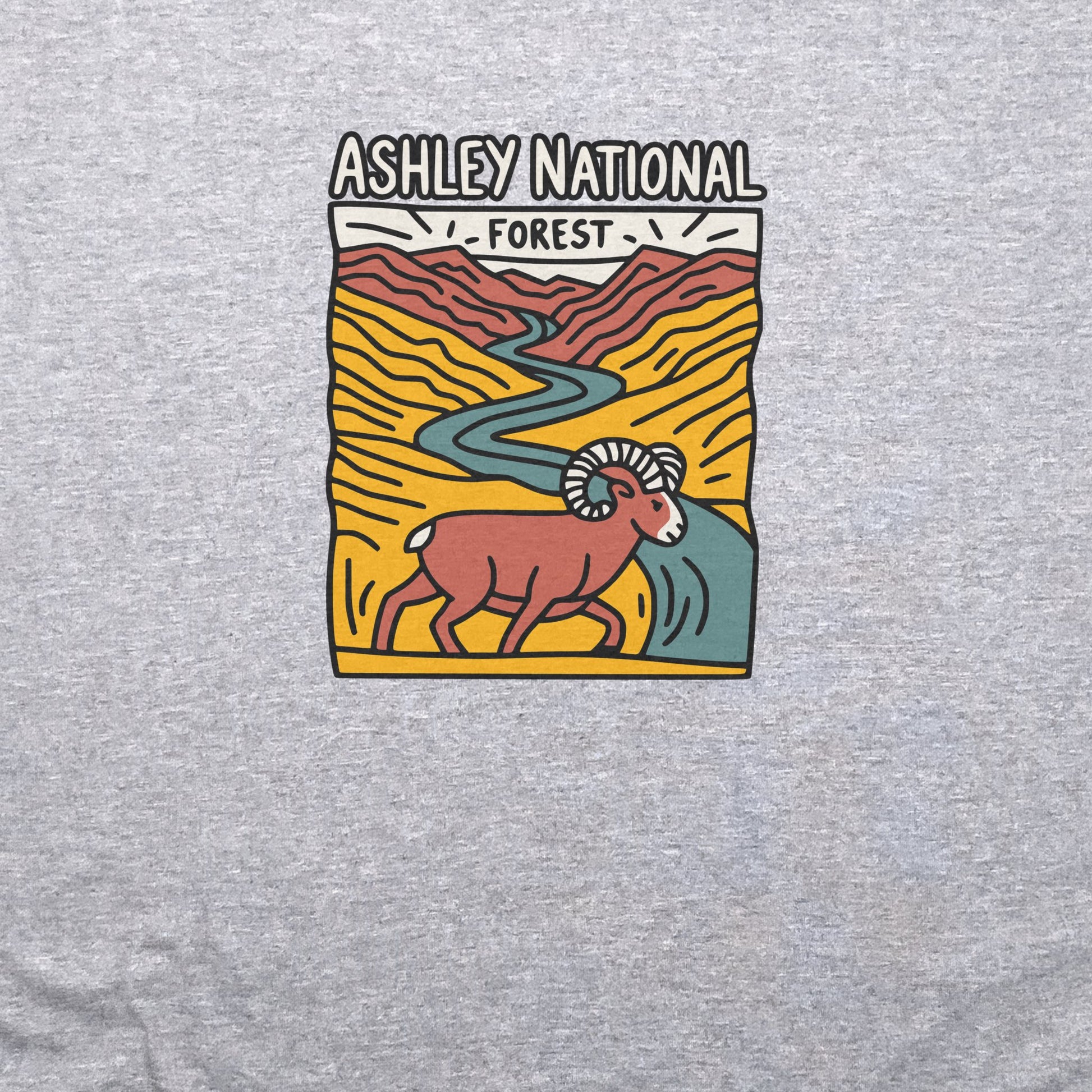 Ashley National Forest T-Shirt Adventure and Outdoors Themed T-Shirt