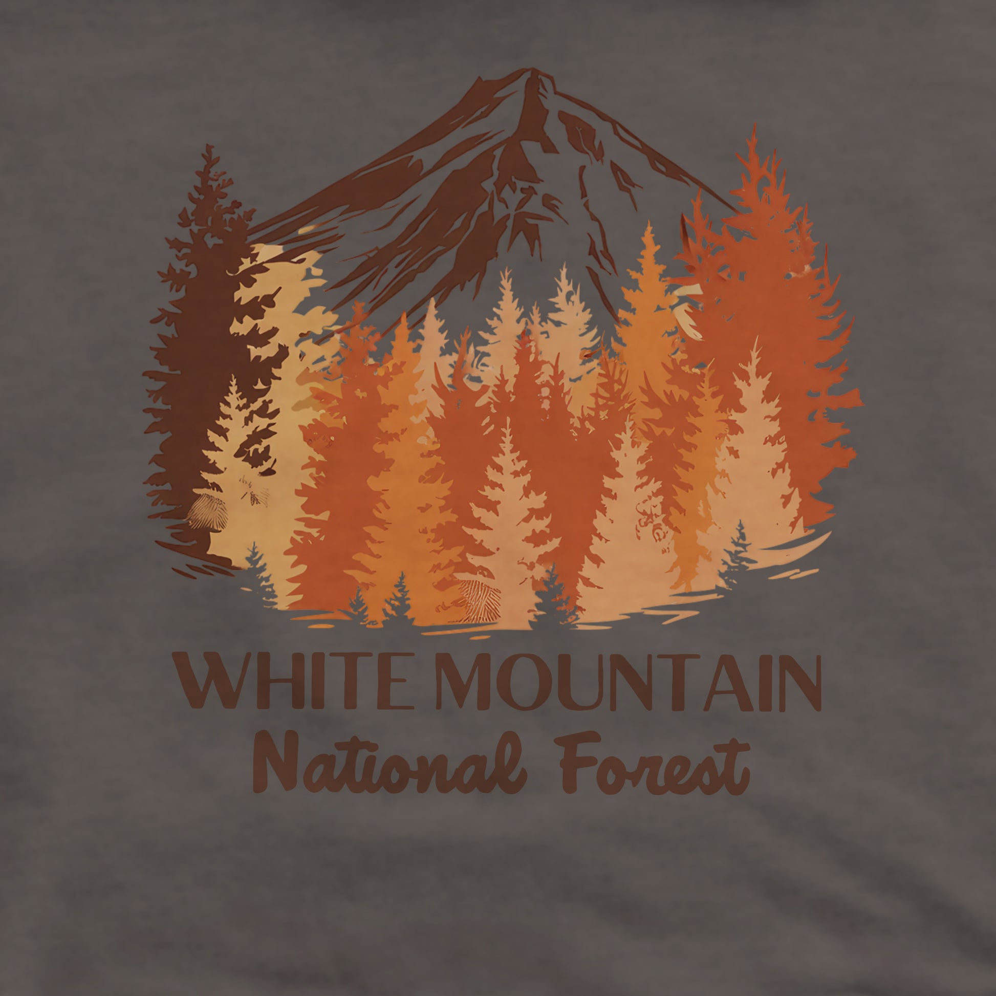 White Mountain National Forest Crewneck Sweatshirt Adventure and Outdoors Themed Sweatshirt