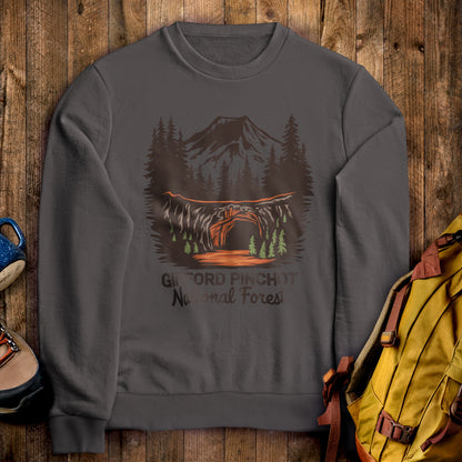 Gifford Pinchot National Forest Crewneck Sweatshirt Charcoal Adventure and Outdoors Themed Sweatshirt