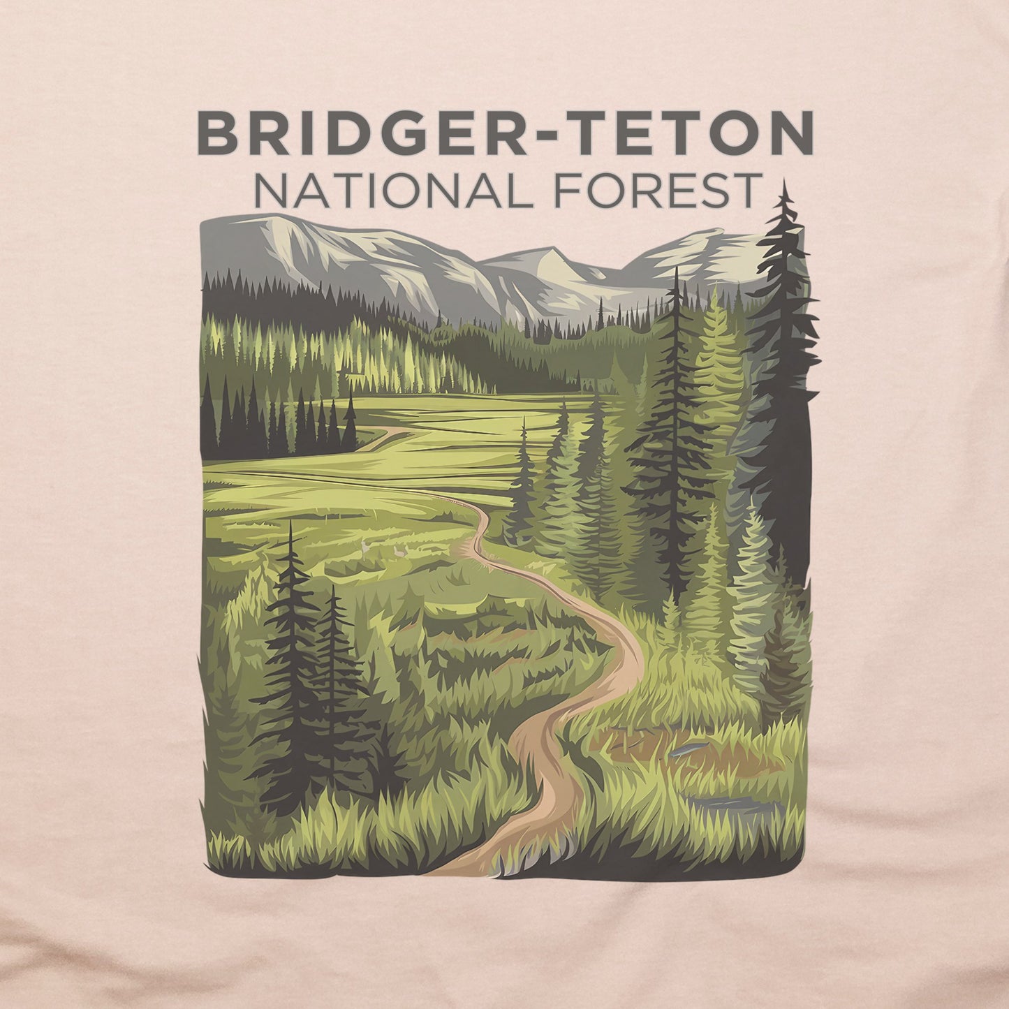 Bridger-Teton National Forest T-Shirt Adventure and Outdoors Themed T-Shirt