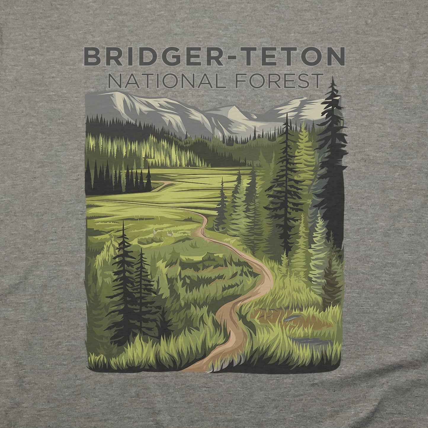 Bridger-Teton National Forest T-Shirt Adventure and Outdoors Themed T-Shirt