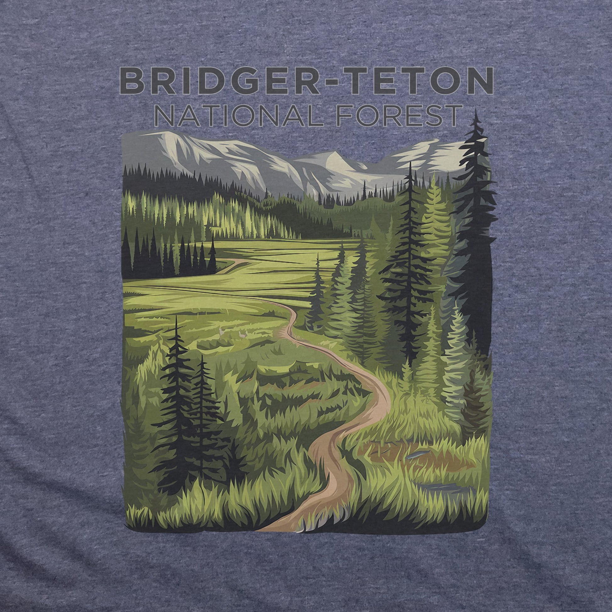 Bridger-Teton National Forest T-Shirt Adventure and Outdoors Themed T-Shirt