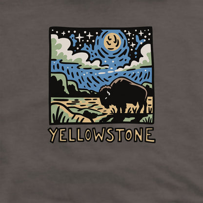Yellowstone National Park at Night Hoodie