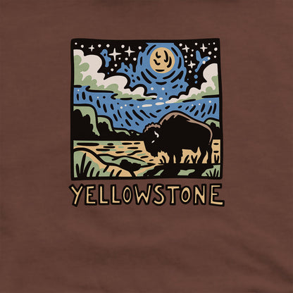 Yellowstone National Park at Night Hoodie