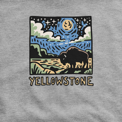 Yellowstone National Park at Night Hoodie