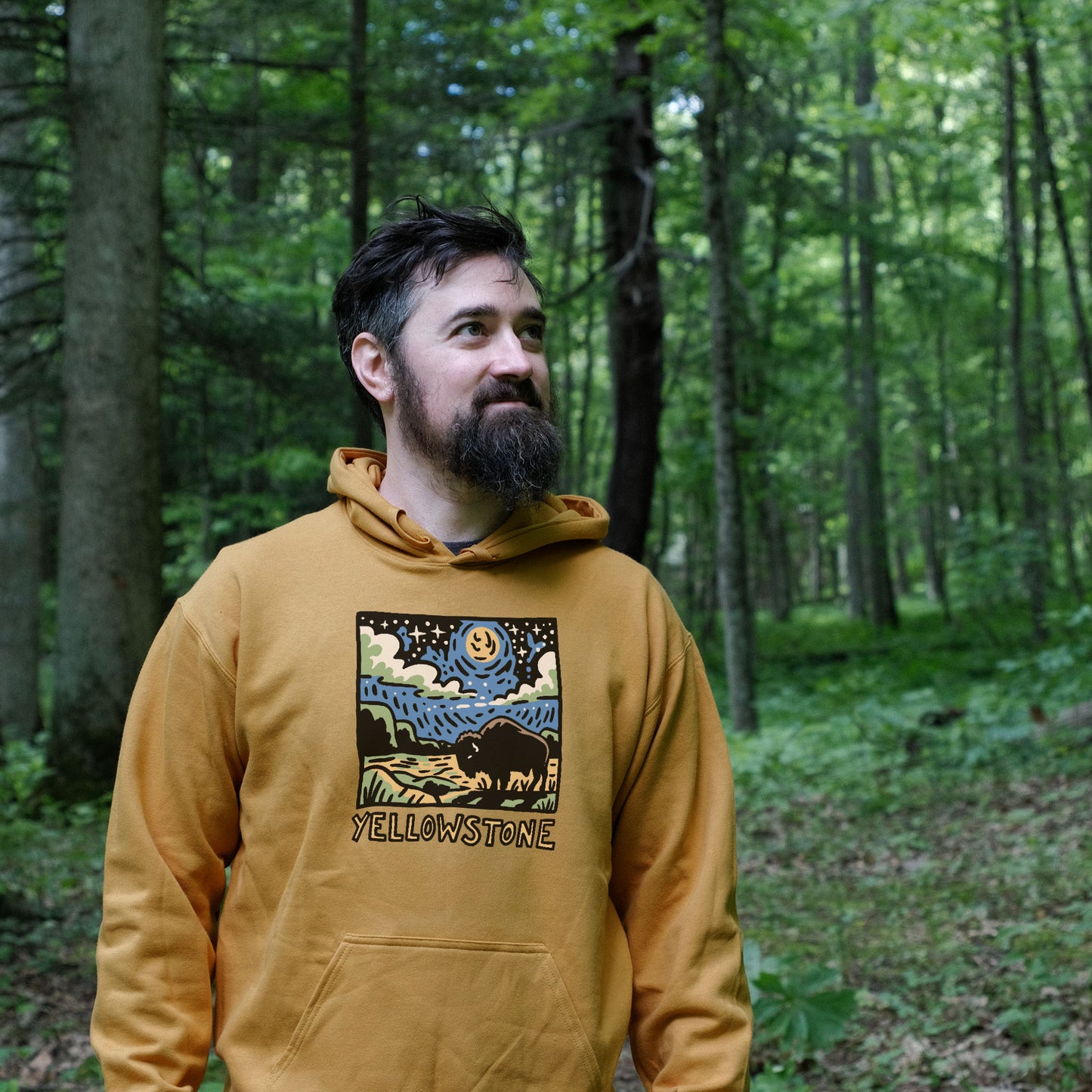 Yellowstone National Park at Night Hoodie