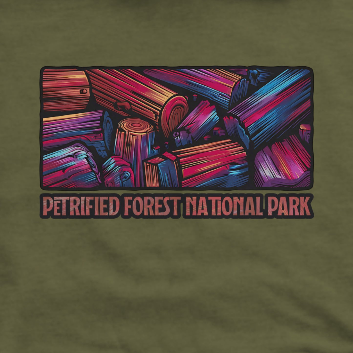 Petrified Forest National Park Hoodie Adventure and Outdoors Themed Hoodie