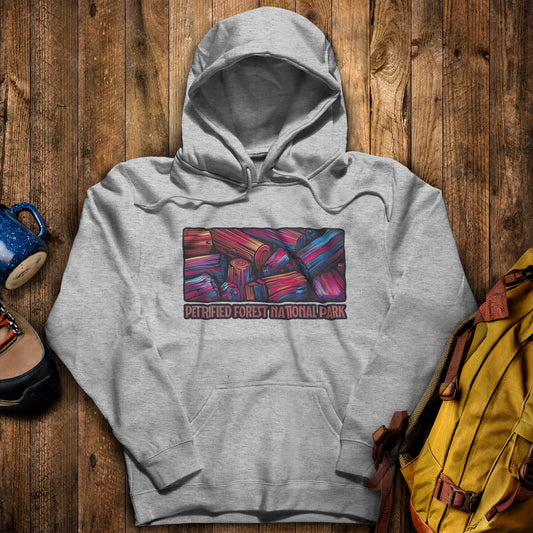 Petrified Forest National Park Hoodie Sport Grey Adventure and Outdoors Themed Hoodie