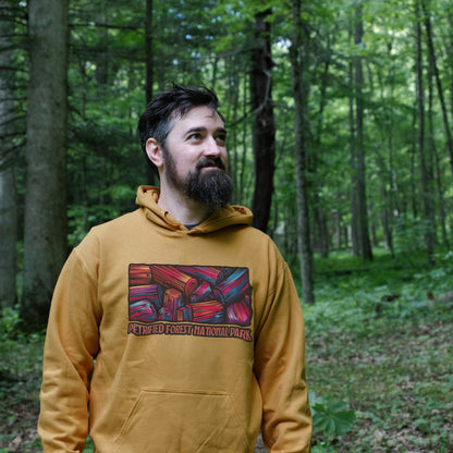 Petrified Forest National Park Hoodie Adventure and Outdoors Themed Hoodie