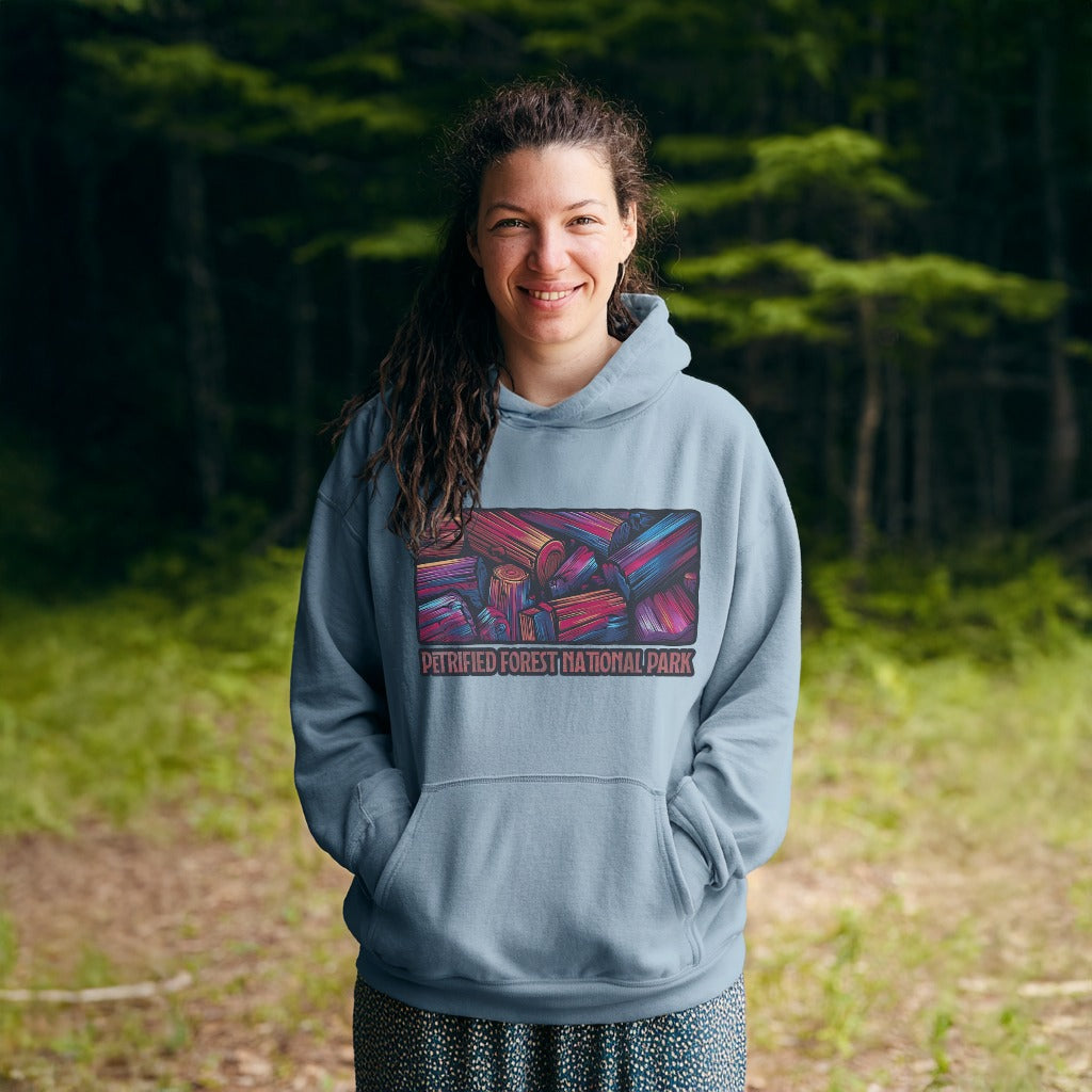 Petrified Forest National Park Hoodie Adventure and Outdoors Themed Hoodie