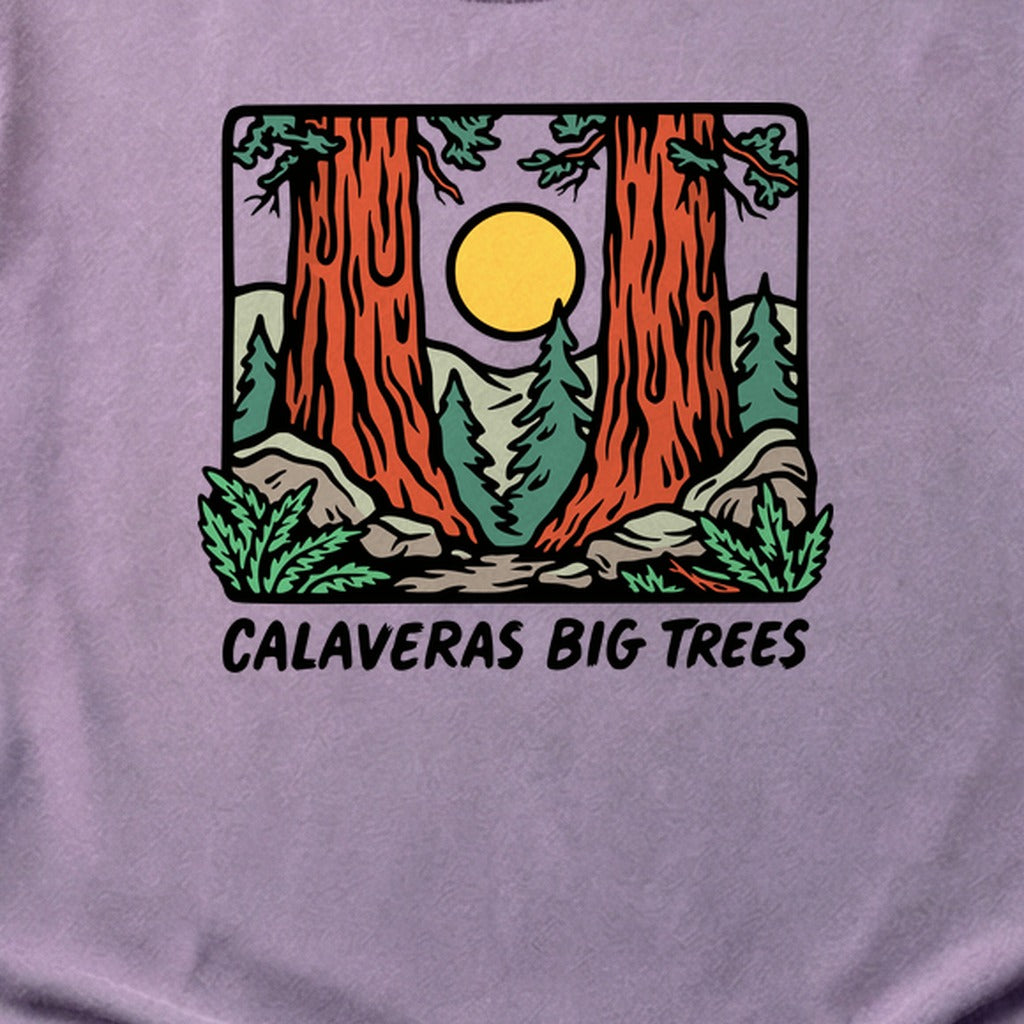 Calaveras Big Trees State Park Cotton T-Shirt