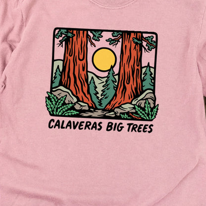 Calaveras Big Trees State Park Premium Long Sleeve