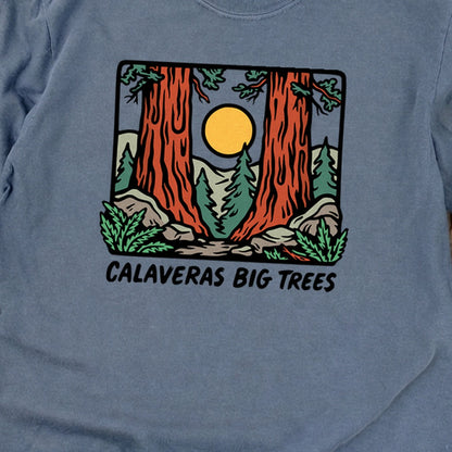 Calaveras Big Trees State Park Premium Long Sleeve