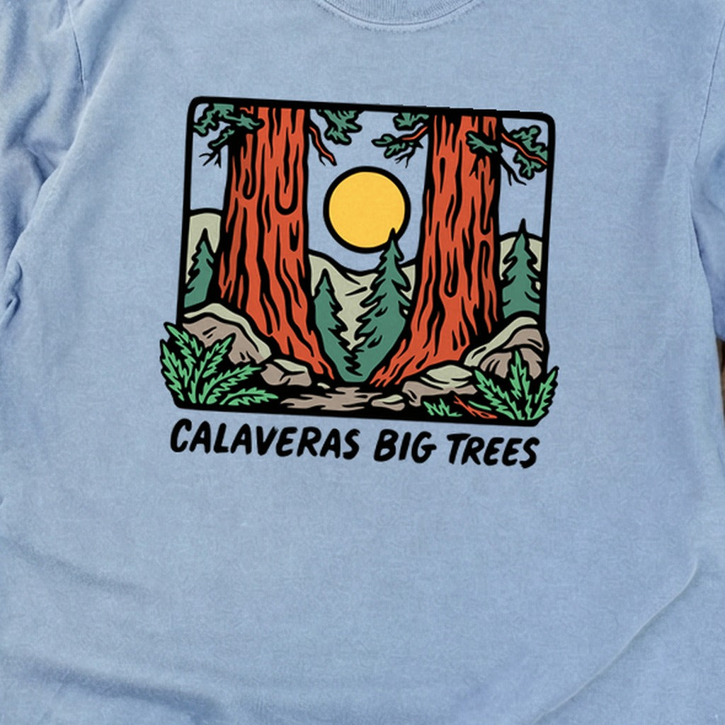 Calaveras Big Trees State Park Premium Long Sleeve