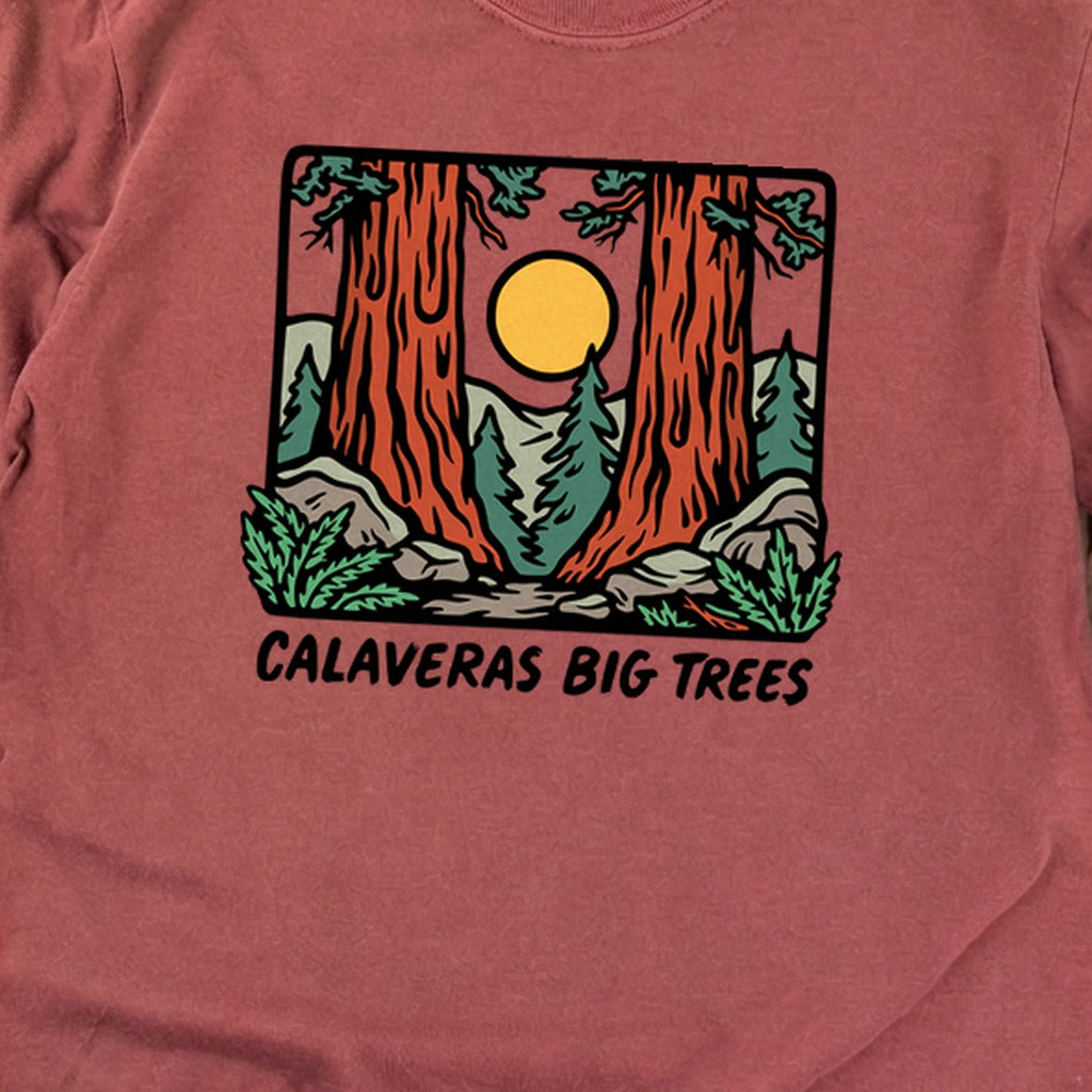 Calaveras Big Trees State Park Premium Long Sleeve