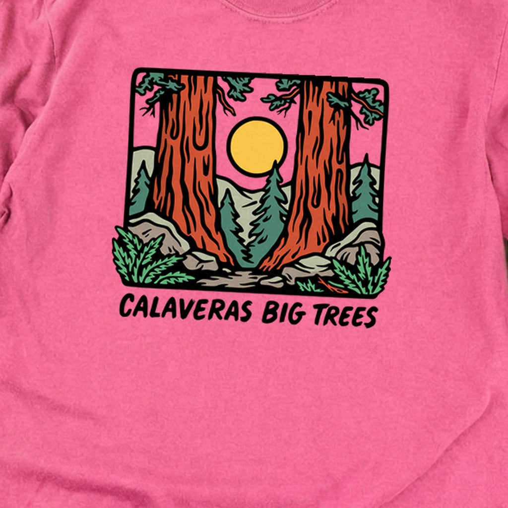 Calaveras Big Trees State Park Premium Long Sleeve