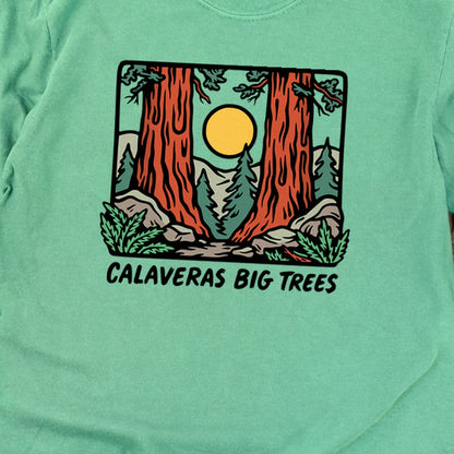 Calaveras Big Trees State Park Premium Long Sleeve