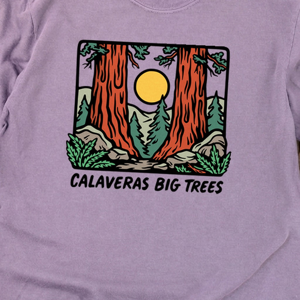 Calaveras Big Trees State Park Premium Long Sleeve