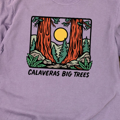 Calaveras Big Trees State Park Premium Long Sleeve
