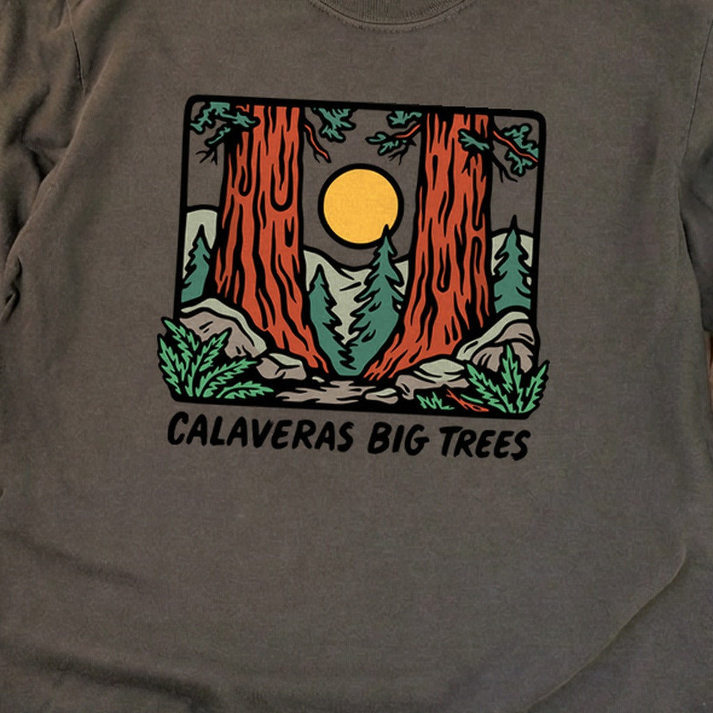 Calaveras Big Trees State Park Premium Long Sleeve