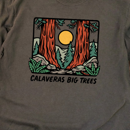 Calaveras Big Trees State Park Premium Long Sleeve