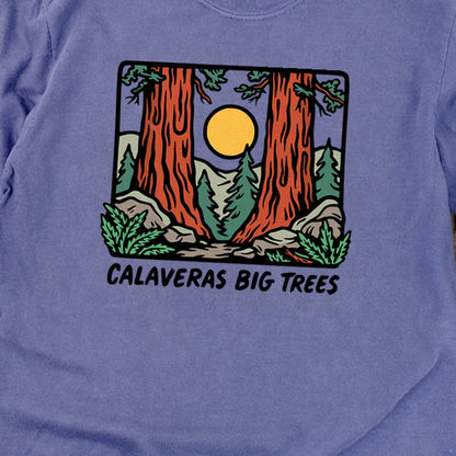 Calaveras Big Trees State Park Premium Long Sleeve