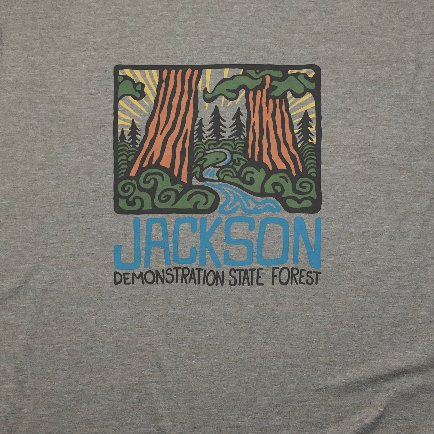 Jackson Demonstration State Forest T-Shirt Adventure and Outdoors Themed T-Shirt