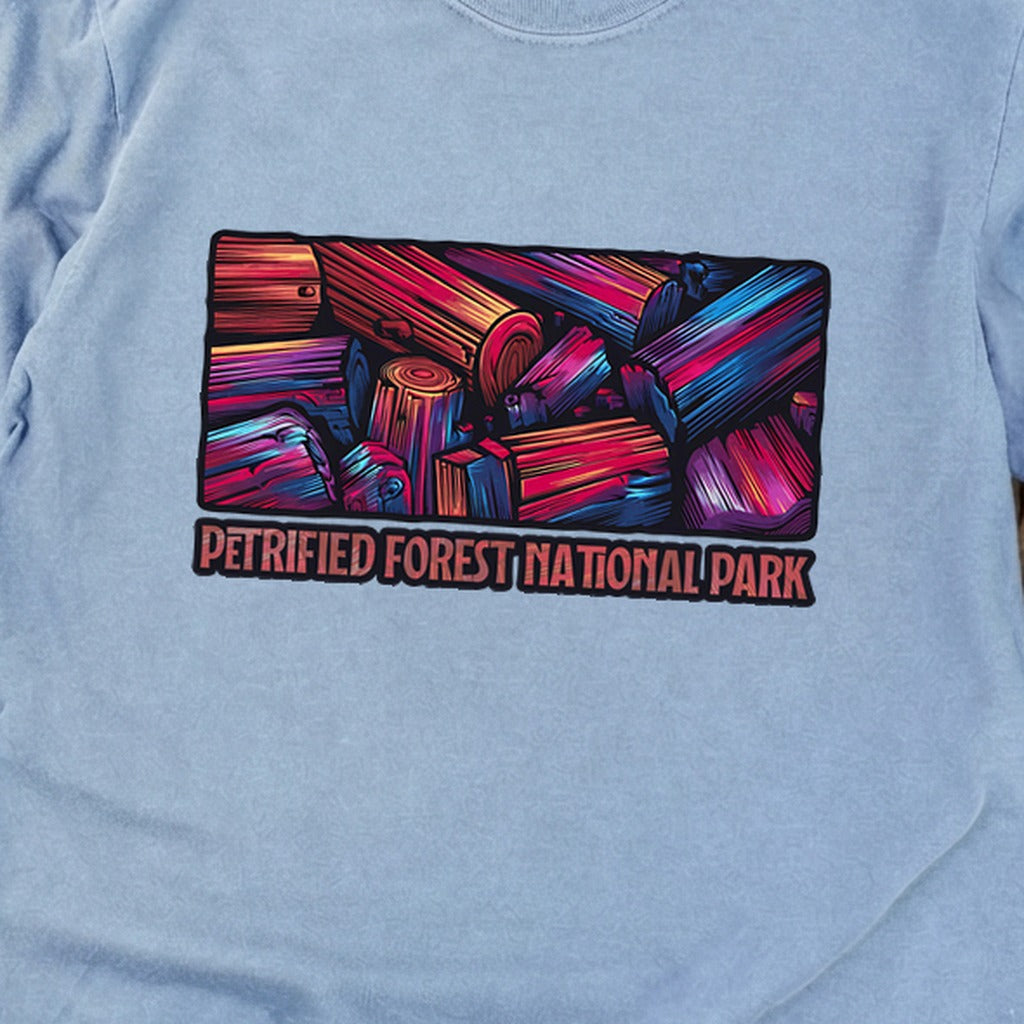 Petrified Forest National Park Cotton Long Sleeve