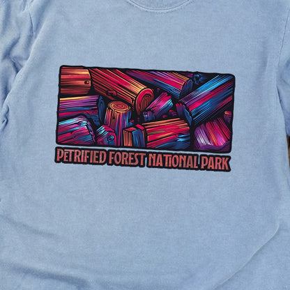 Petrified Forest National Park Cotton Long Sleeve