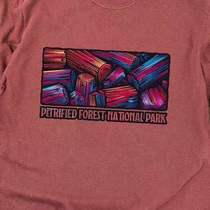Petrified Forest National Park Cotton Long Sleeve