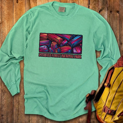 Petrified Forest National Park Cotton Long Sleeve