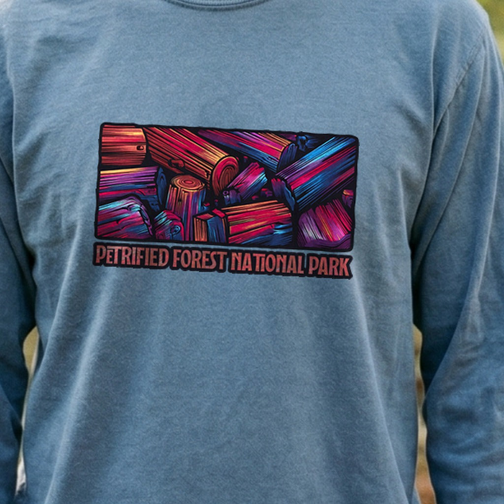 Petrified Forest National Park Cotton Long Sleeve