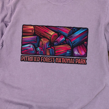 Petrified Forest National Park Cotton Long Sleeve